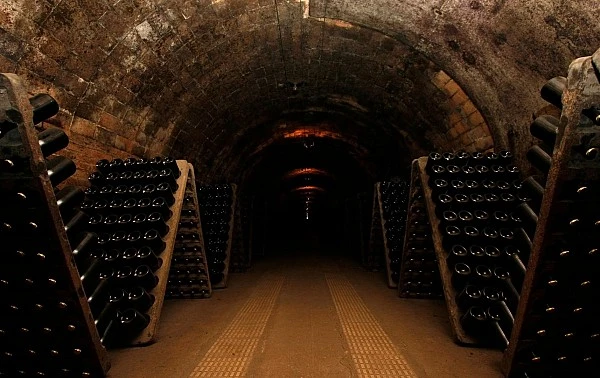 Bodegas